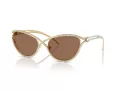 Swarovski Slnečné okuliare SK 7025 400473