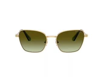 Swarovski Slnečné okuliare SK 7029 4004E8