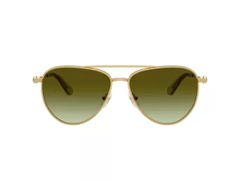 Swarovski Slnečné okuliare SK 7031 4017E8