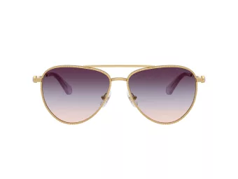 Swarovski Slnečné okuliare SK 7031 4036U7