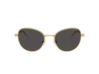 Swarovski Slnečné okuliare SK 7032 400487