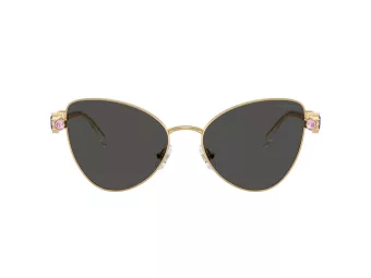 Swarovski Slnečné okuliare SK 7034 404M87