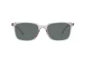Ted Baker Slnečné okuliare TB 1622 228
