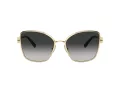 Tiffany Slnečné okuliare TF 3102B 60213C