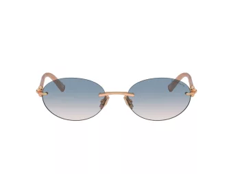 Tiffany Slnečné okuliare TF 3104D 621716