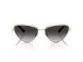 Tiffany Slnečné okuliare TF 3107KB 62203C