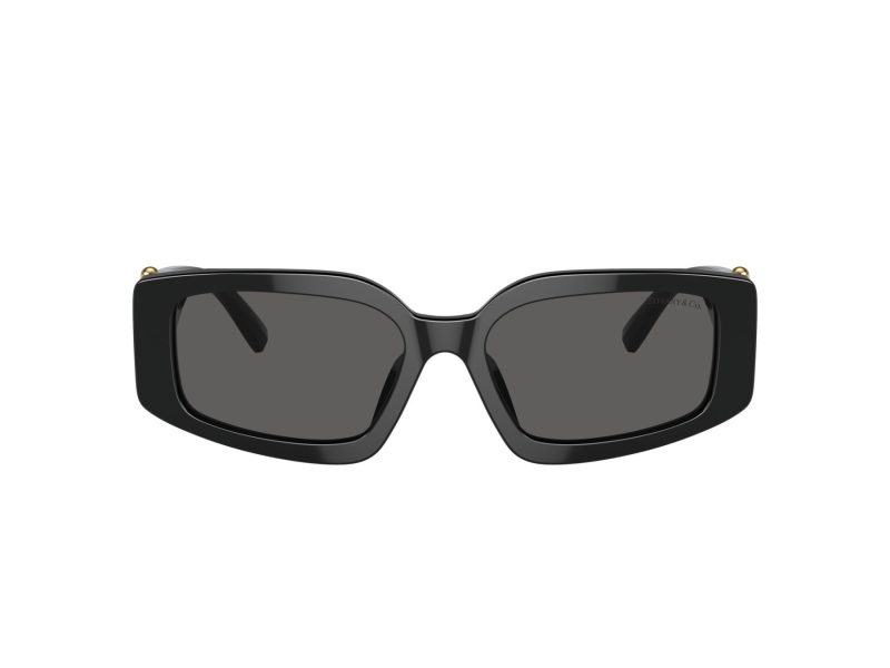 Tiffany Slnečné okuliare TF 4208U 8001S4