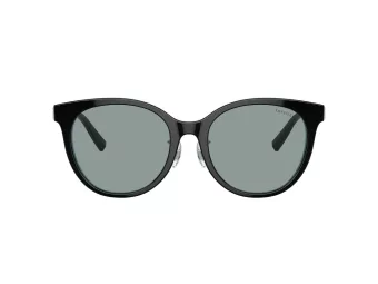 Tiffany Slnečné okuliare TF 4209D 8055/1