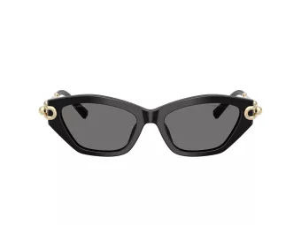 Tiffany Slnečné okuliare TF 4231U 800181