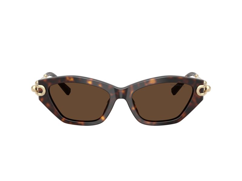 Tiffany Slnečné okuliare TF 4231U 80153G