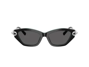 Tiffany Slnečné okuliare TF 4231U 8055S4