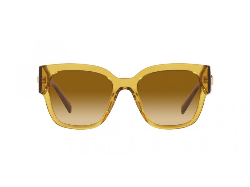 Versace Slnečné okuliare VE 4437U 53472L
