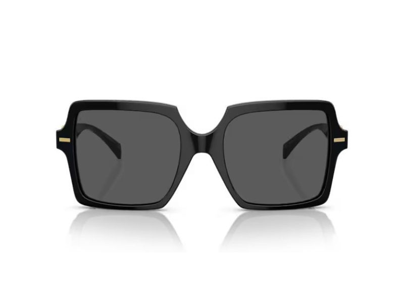 Versace Slnečné okuliare VE 4441 GB1/87