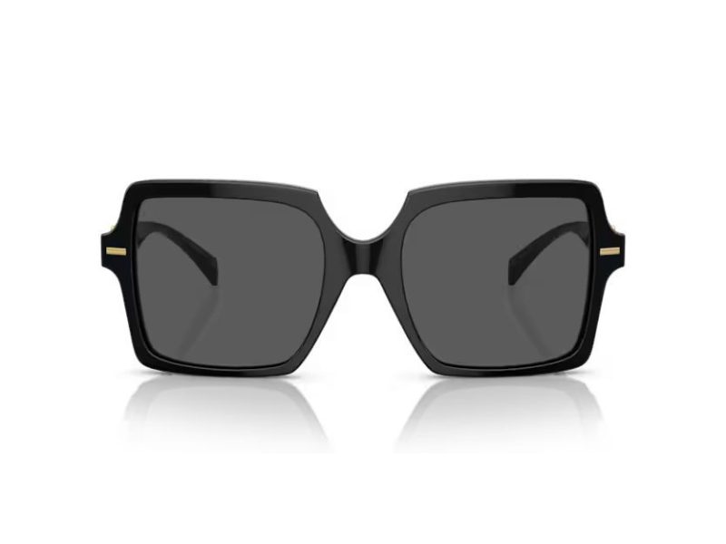 Versace Slnečné okuliare VE 0VE4441 GB1/87