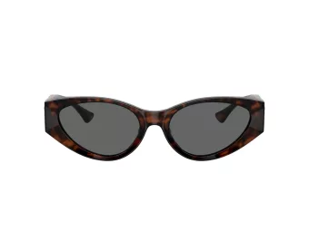 Versace Slnečné okuliare VE 0VE4454 542987