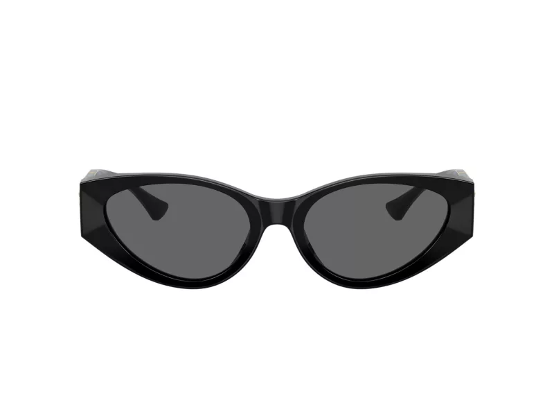 Versace Slnečné okuliare VE 4454 GB1/87