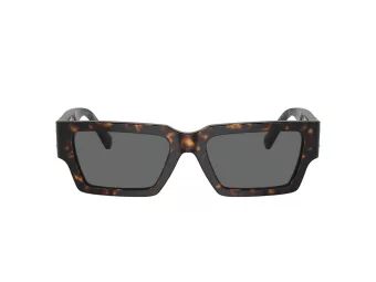 Versace Slnečné okuliare VE 4459 108/87