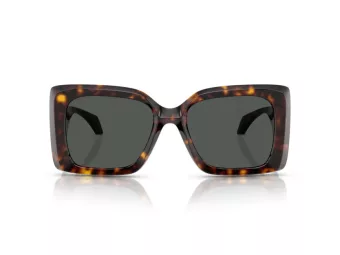 Versace Slnečné okuliare VE 4467U 108/87