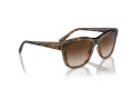 Vogue Slnečné okuliare VO 5557S 238613