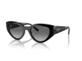 Vogue Slnečné okuliare VO 5566S W44/11